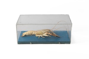 Image description is not available for 2016.3.2